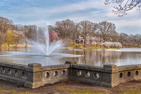 branch brook park webcam|Newark’s Branch Brook Park Has More Than Any Other